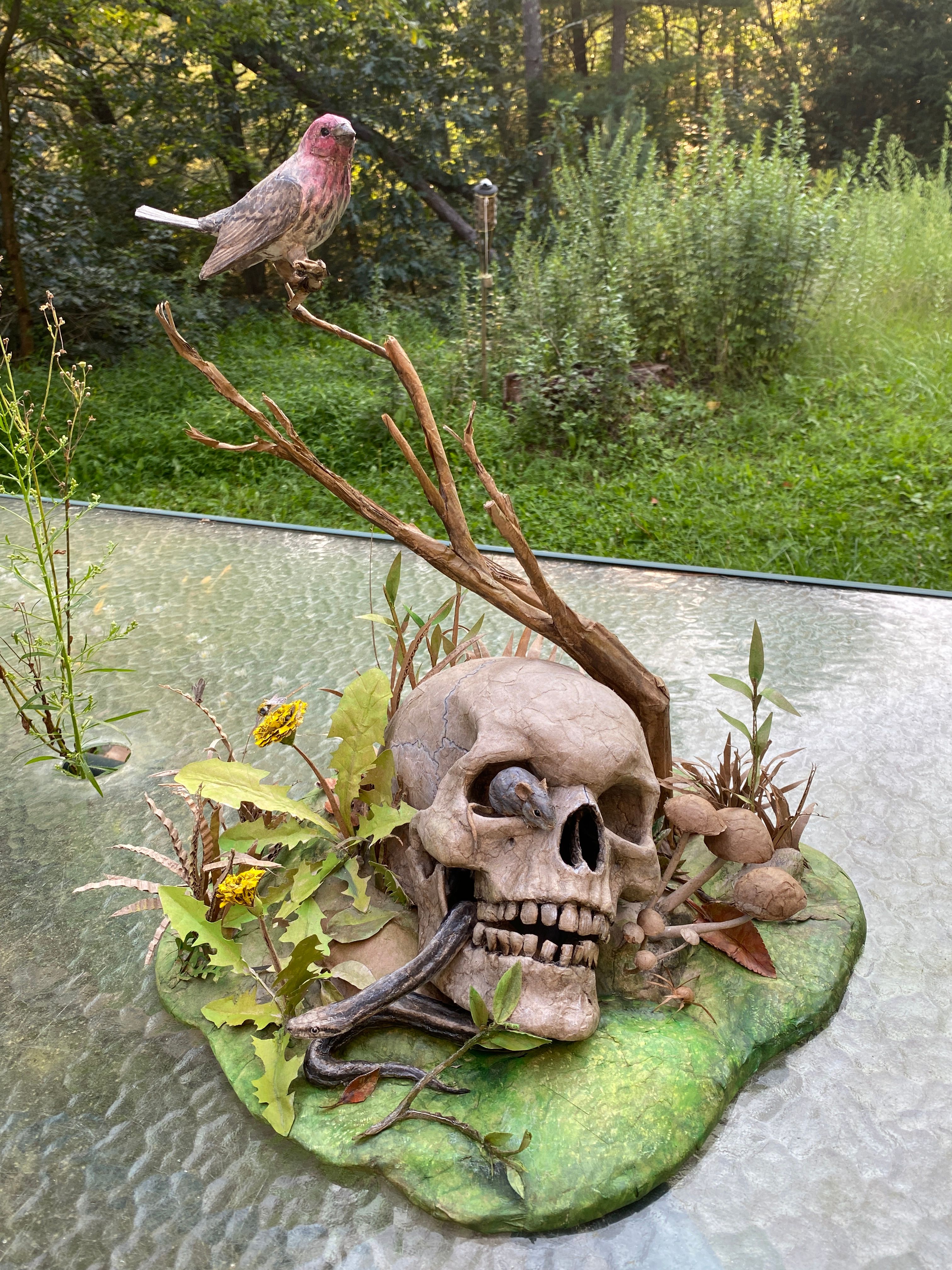 Recycled life (skull in grass)