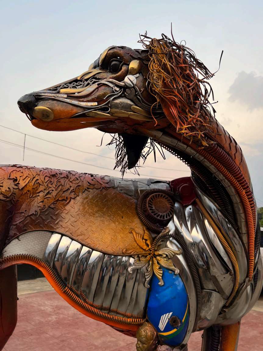 SALUKI DOG