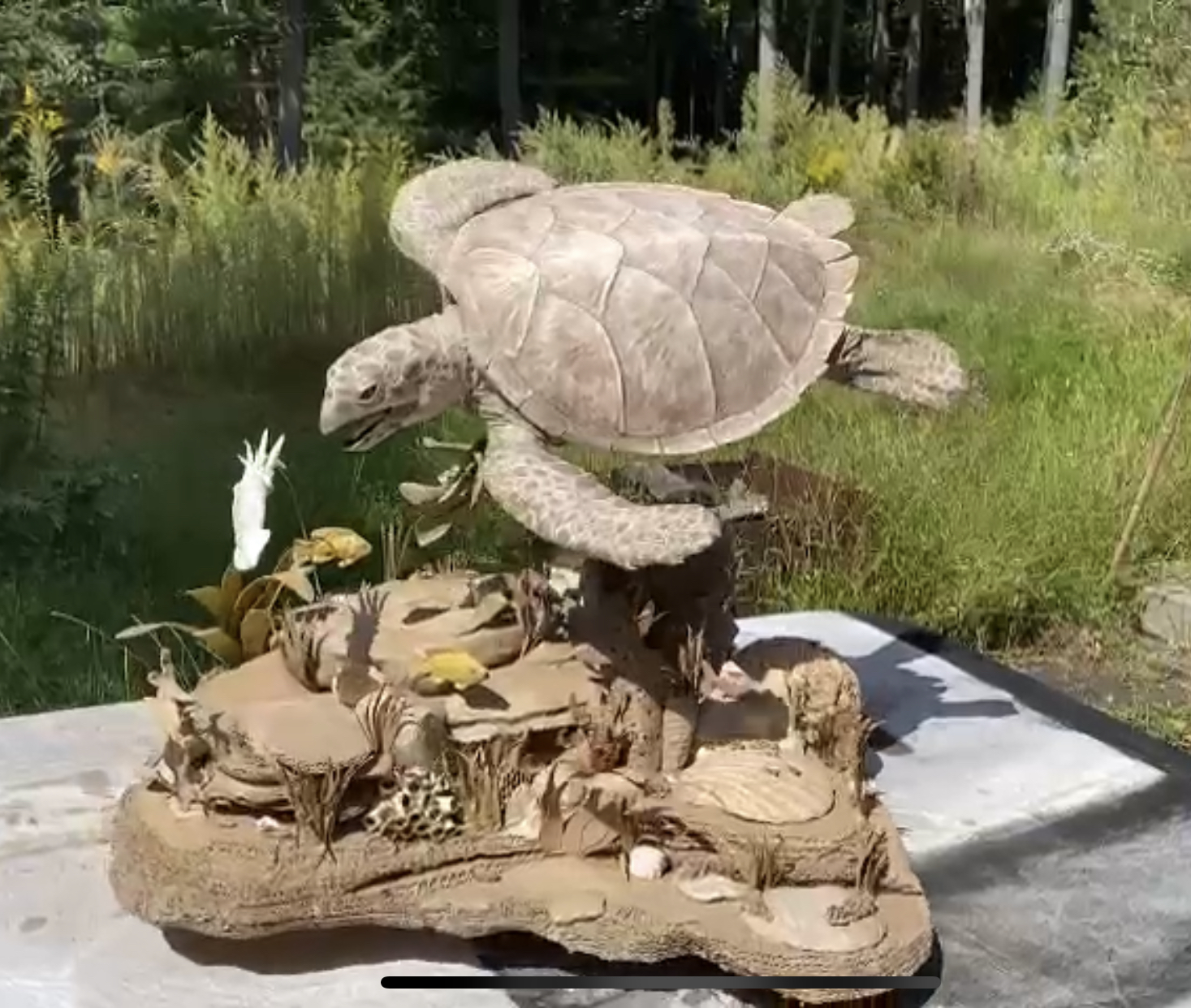 Pursuit (Hawksbill sea turtle)