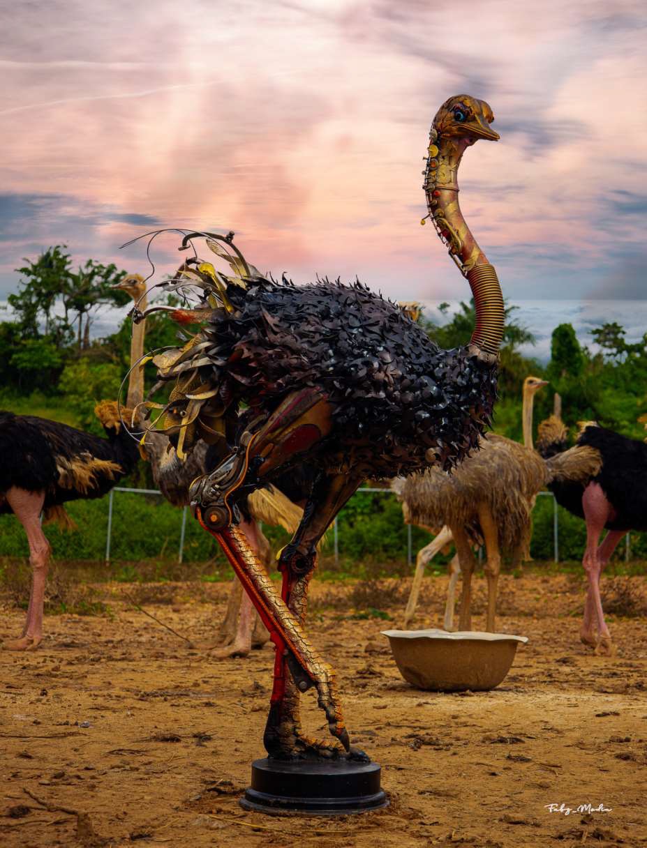 OSTRICH