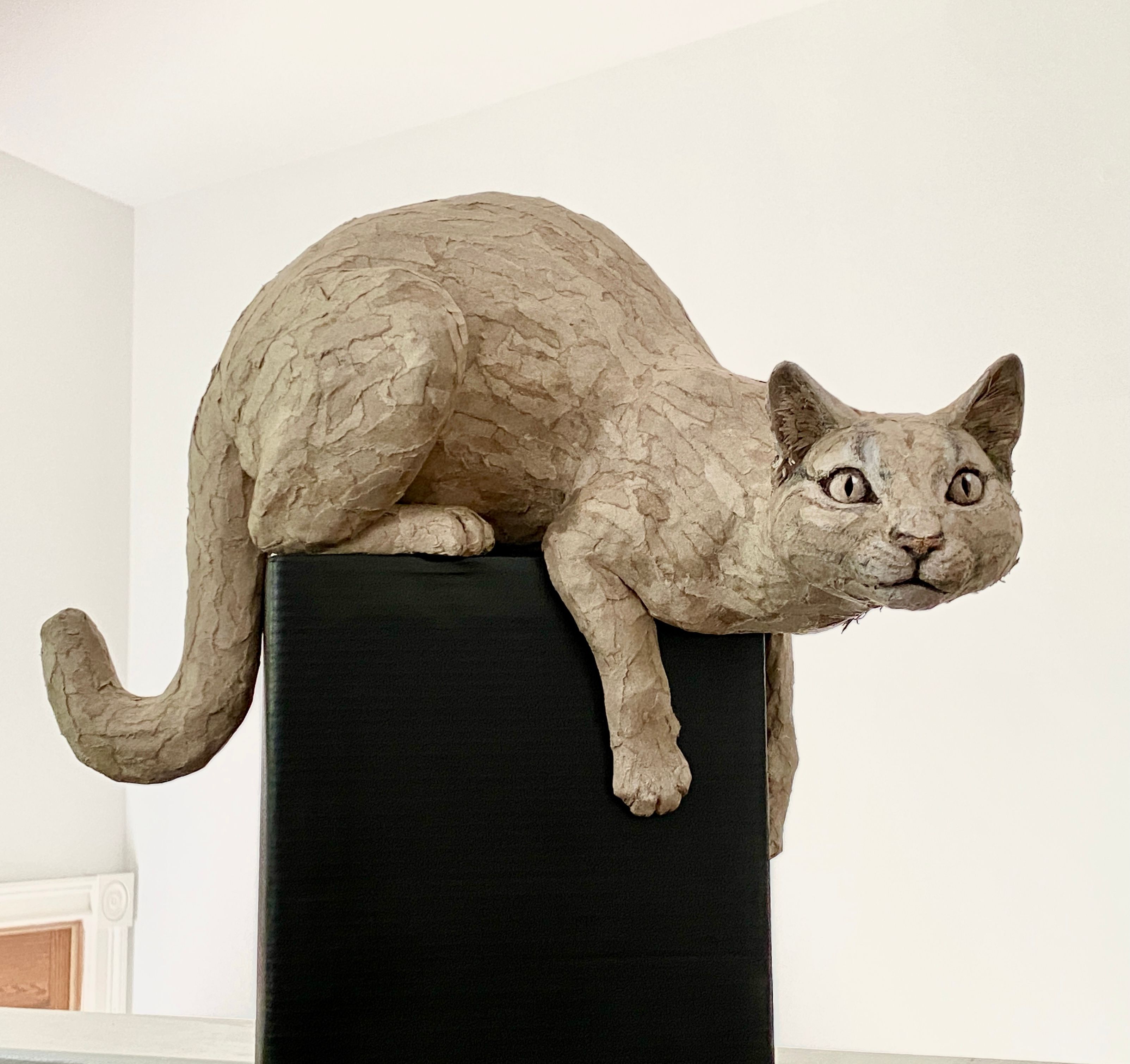 Ready to Pounce (cat on post)